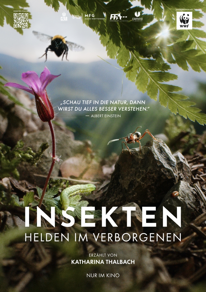 Eine Nahaufnahme vom Boden mit Stein, Blume und verschiedenen Insekten - Insekten - Helden im Verborgenen
