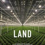 Eine Fabrikhalle mit in Reihe gepflanzten Setzlingen - Land