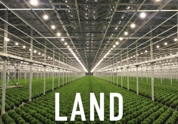 Eine Fabrikhalle mit in Reihe gepflanzten Setzlingen - Land